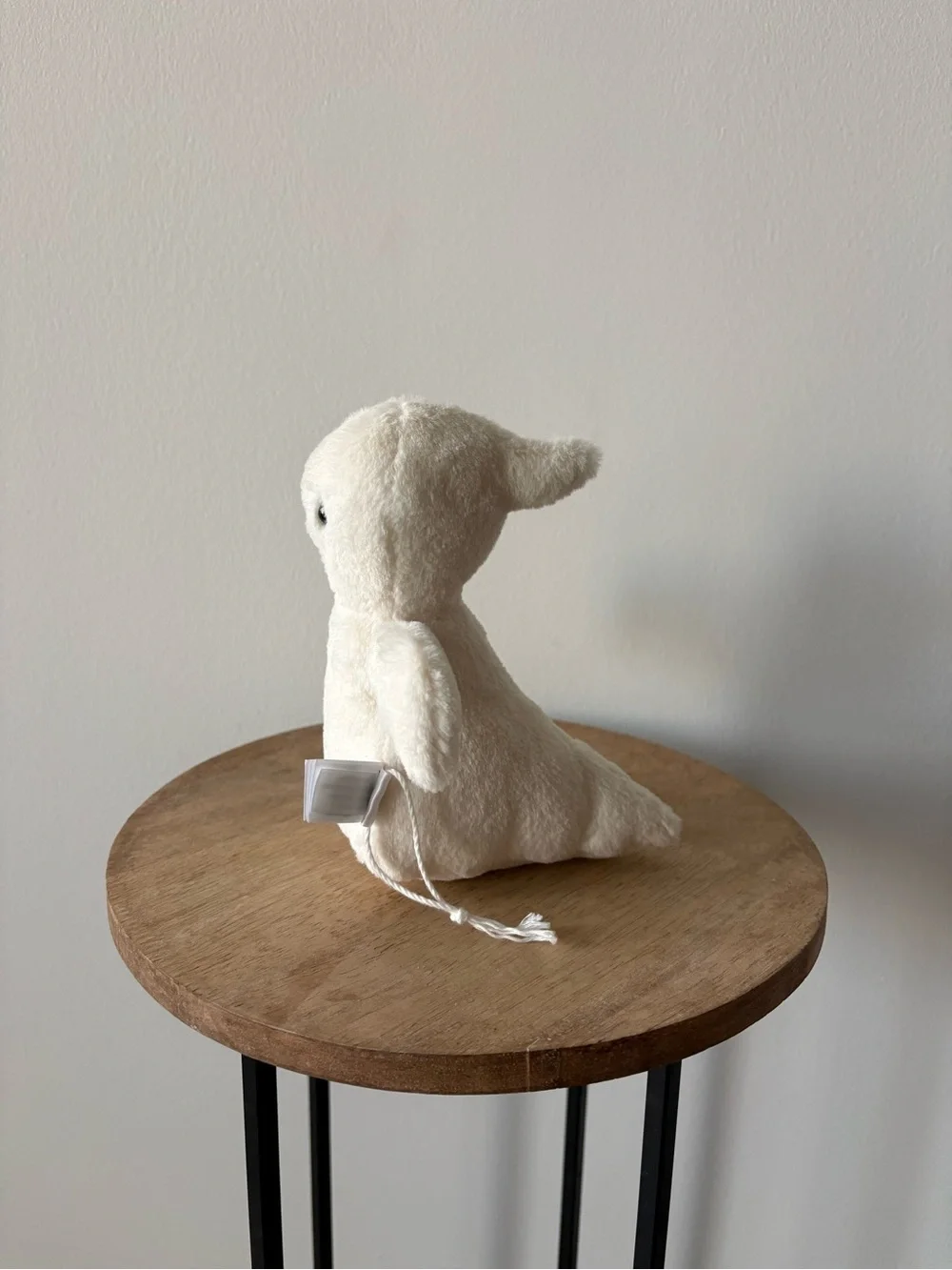 Jellycat 👻new without
